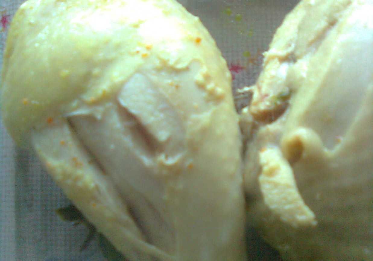 Kurczak z rosołu foto