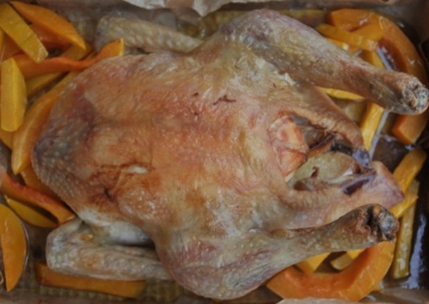 Fotografia przedstawiająca Kurczak złocisty