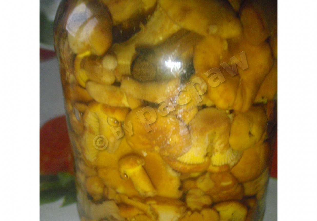 Kurki w aromatycznej zalewie foto