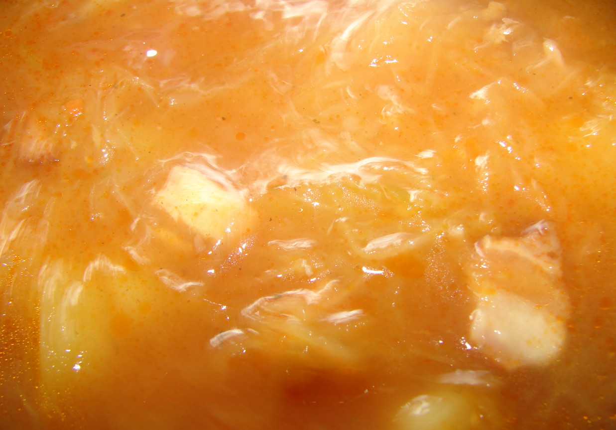 Kwaśna zupa na boczku foto