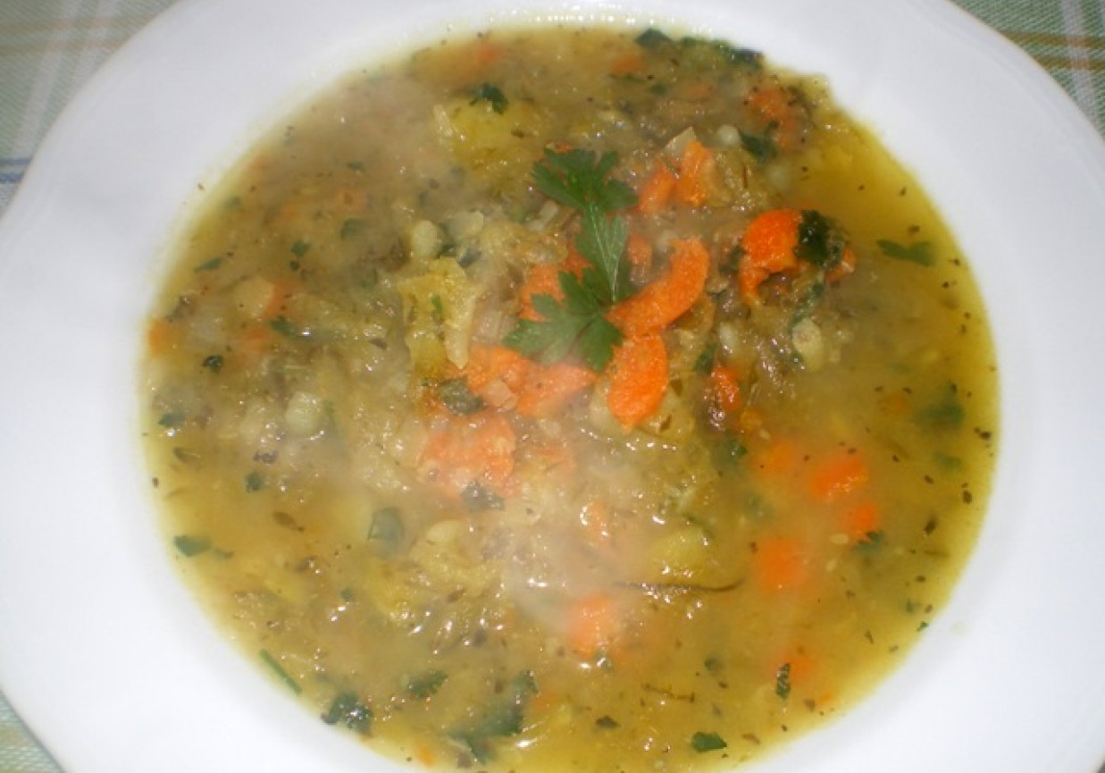 Kwaśna zupa z kiszeniaków i marchwi foto