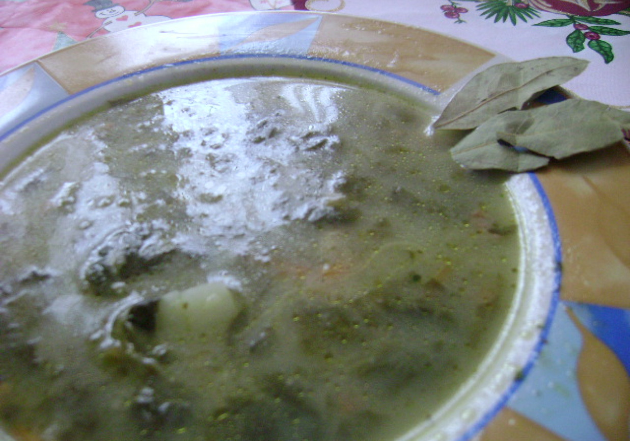kwaśna zupa ze szczawiem foto