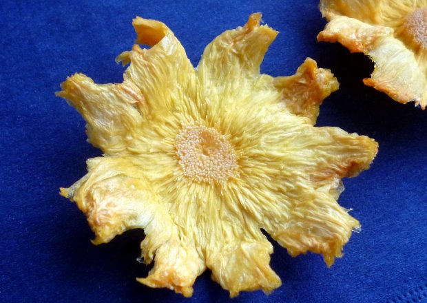 Fotografia przedstawiająca Kwiaty z ananasa
