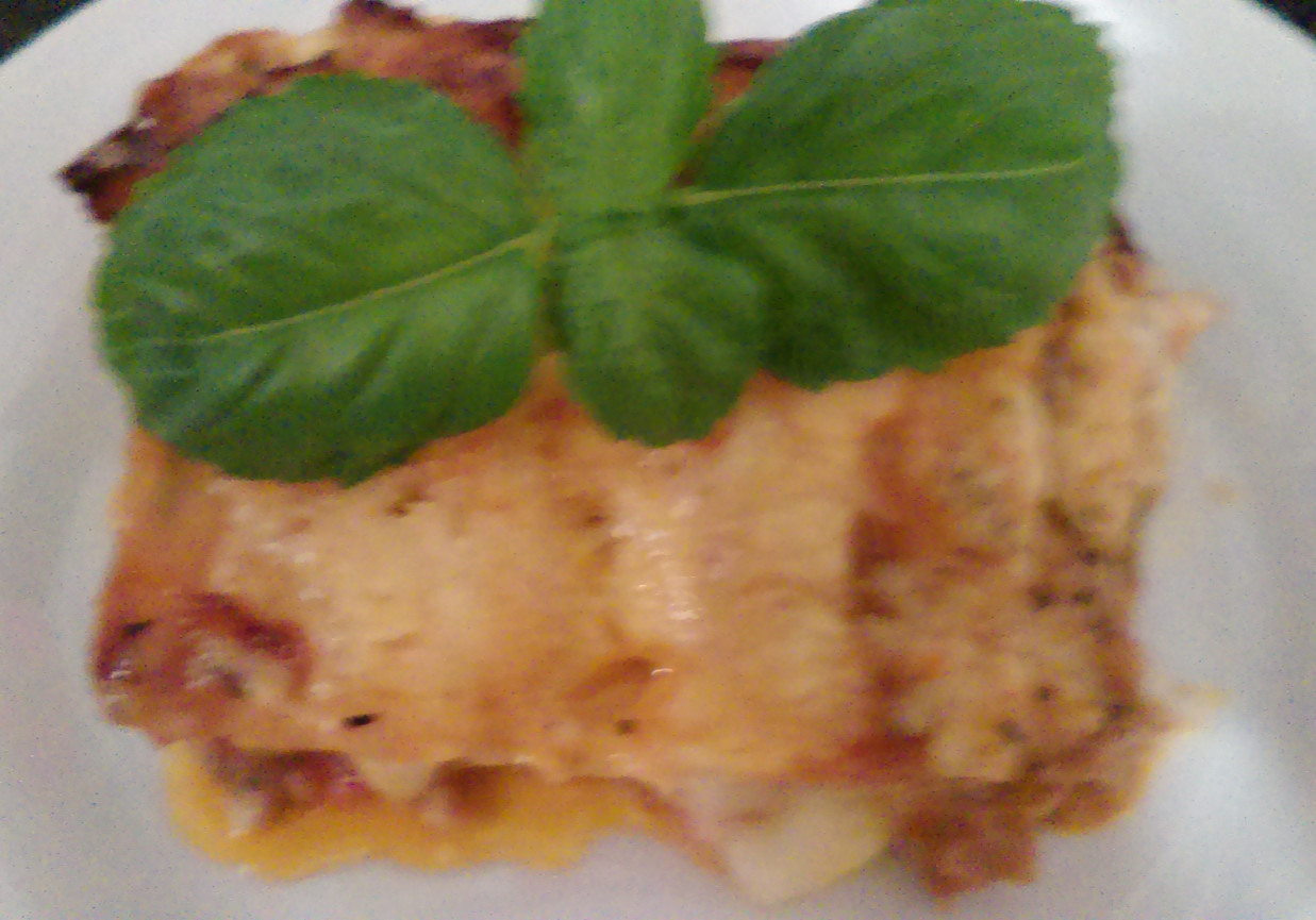Lasagne bolognese .  foto