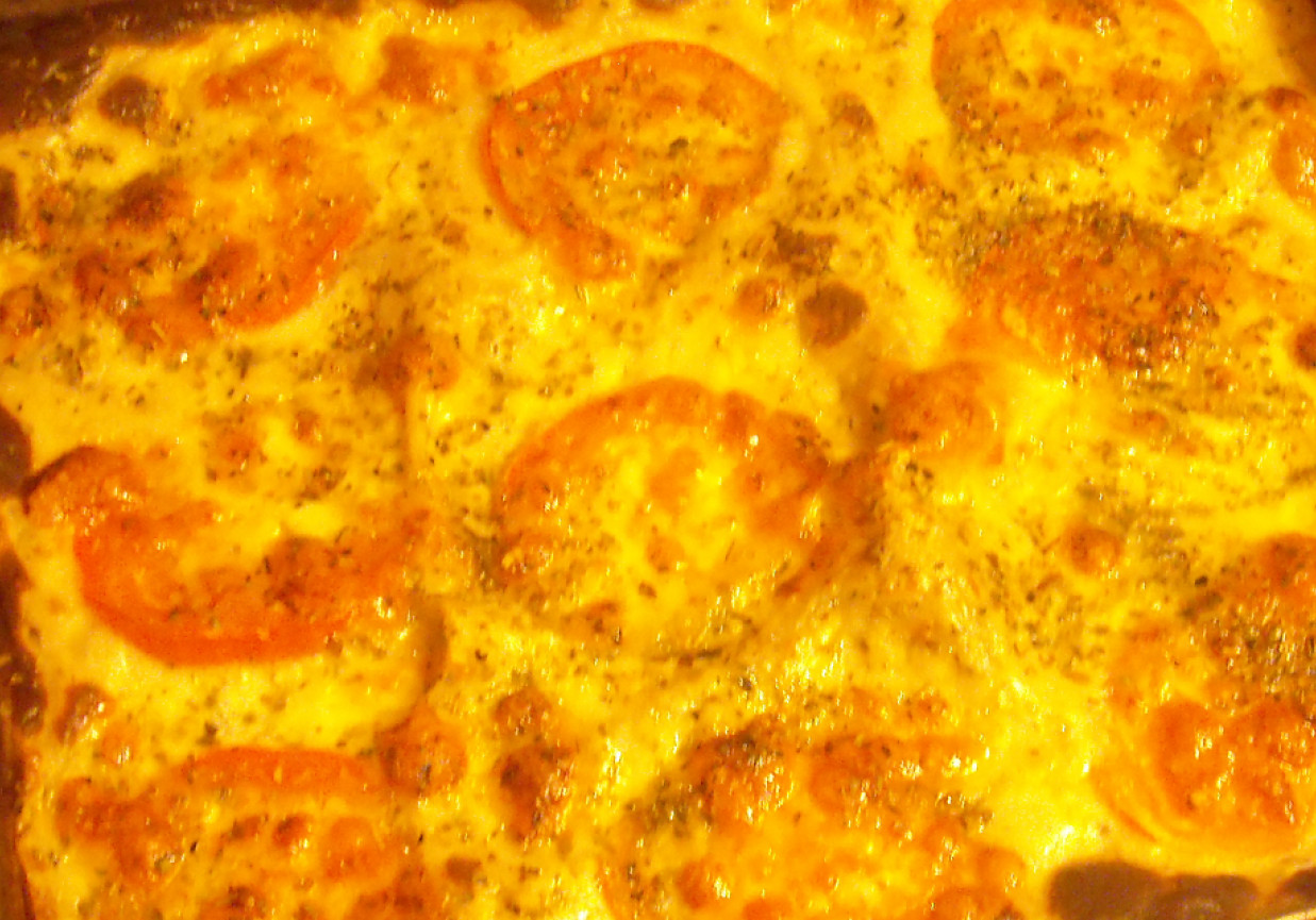Lasagne bolonese z mozarellą. foto