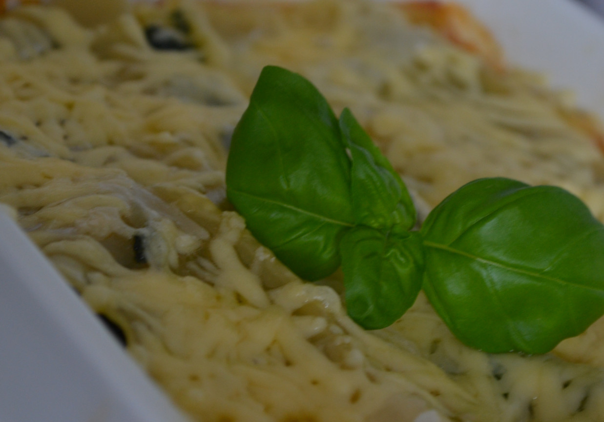 lasagne serowo-warzywne foto