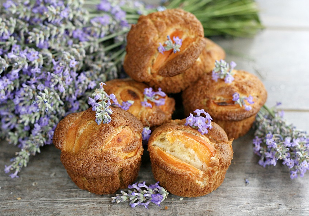 Lawendowe muffinki z morelami foto