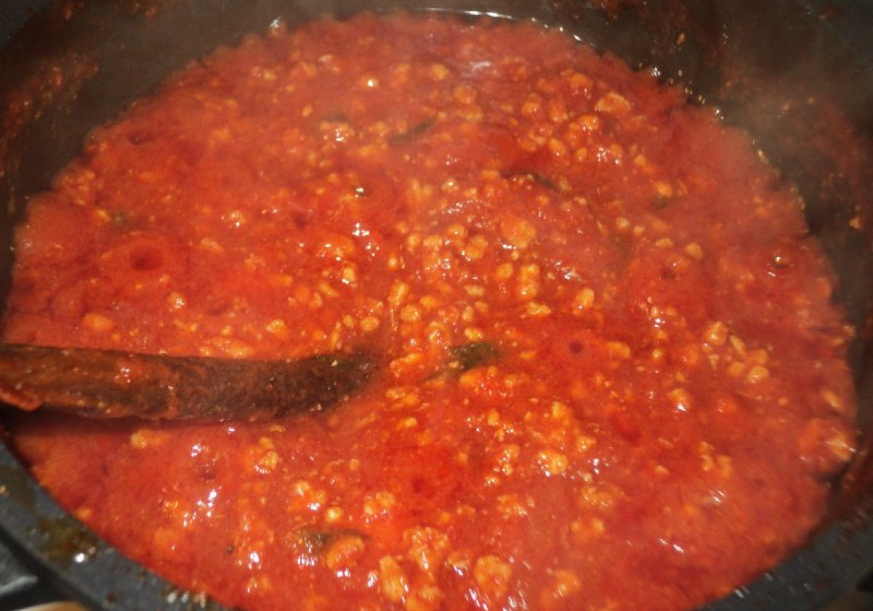 Lazania z sosem pomidorowo - mięsnym foto