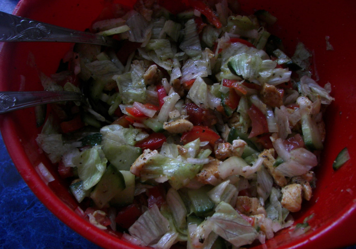 Lekka sałatka z kurczakiem foto