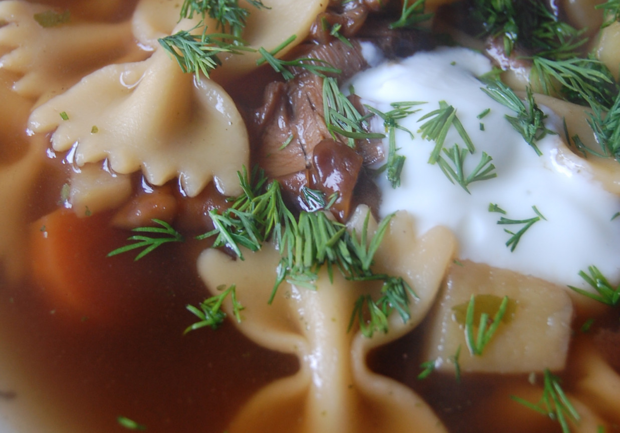 Lekka zupa grzybowa (dietetyczna) DoradcaSmaku.pl