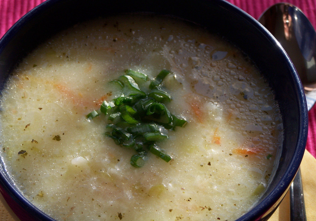Lekka zupa na upalne dni, czyli ryżowa z kapustą :) foto