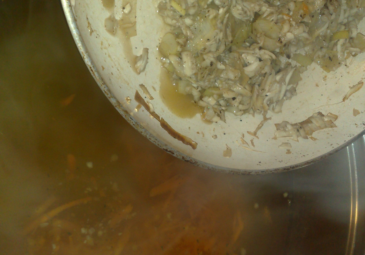 lekka zupa pieczarkowa z kiełkami foto