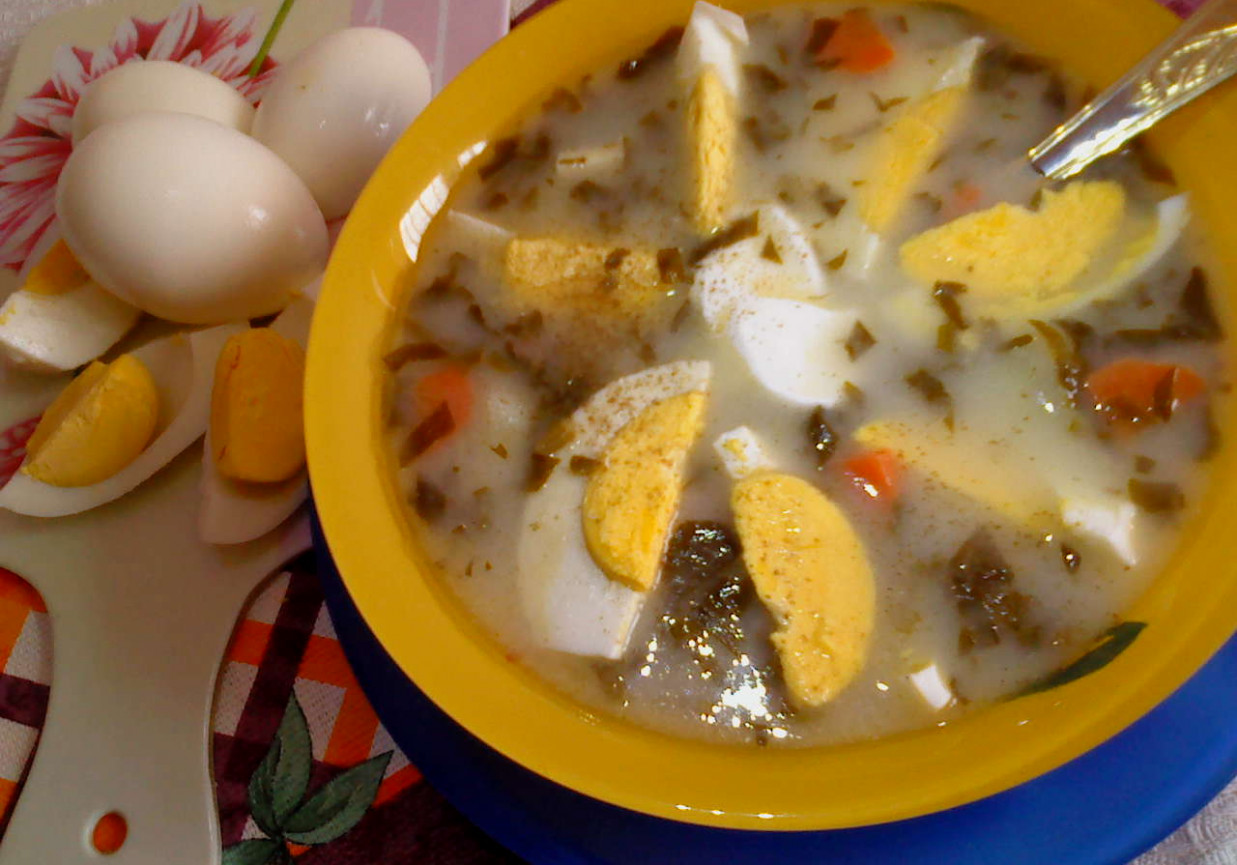 Lekka zupa szczawiowa z pierwszego, wiosennego szczawiu foto