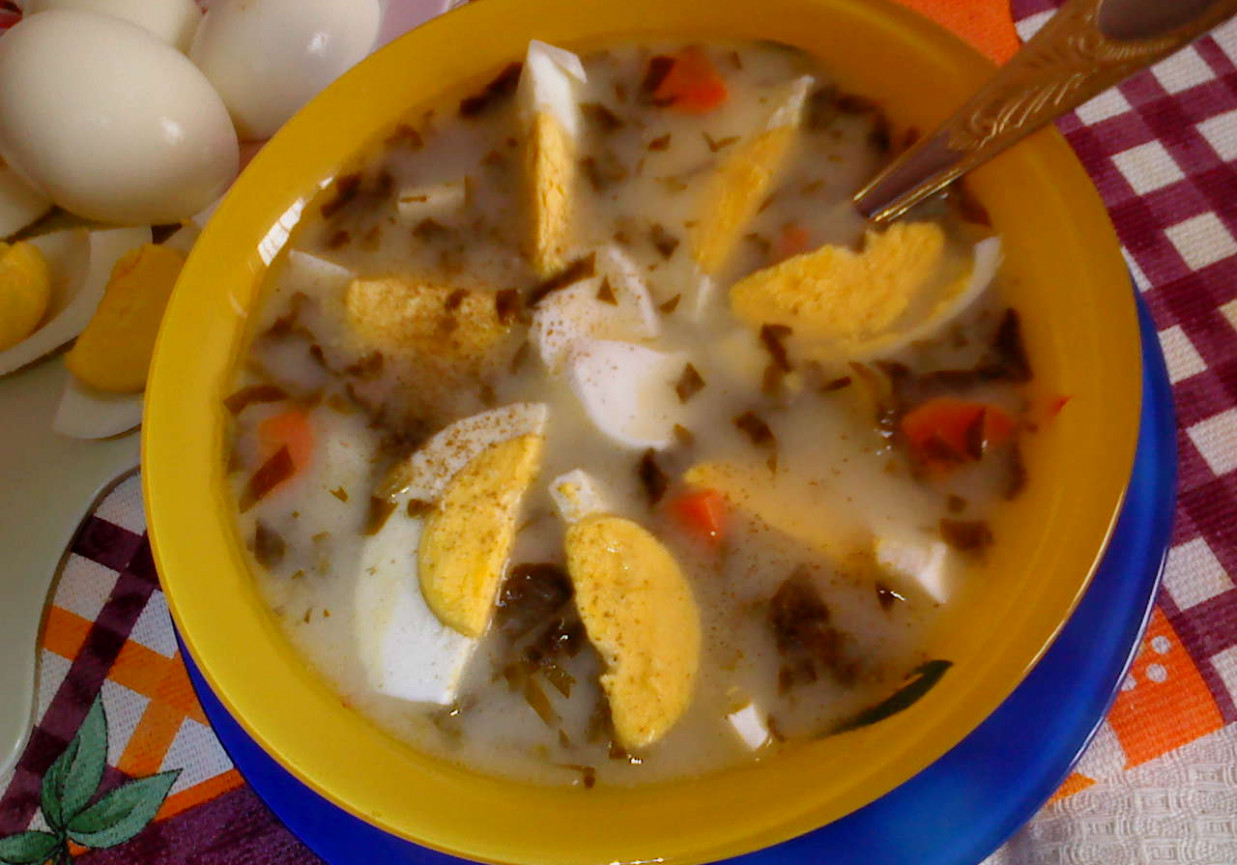Lekka zupa szczawiowa z pierwszego, wiosennego szczawiu foto