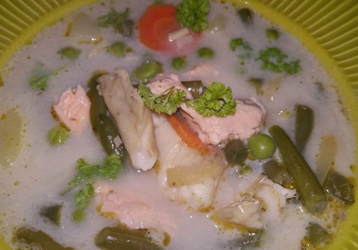 Lekka zupa warzywno-rybna z mlekiem kokosowym foto