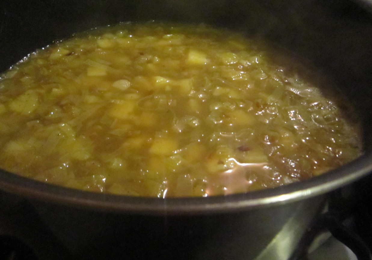 LEKKA ZUPA Z PORÓW foto