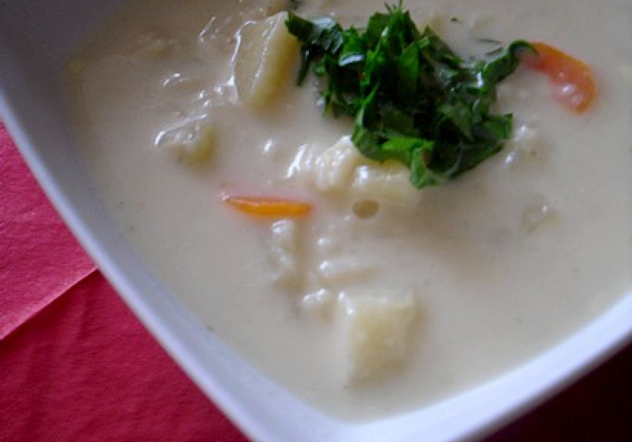 Lekka zupa z ryżem foto