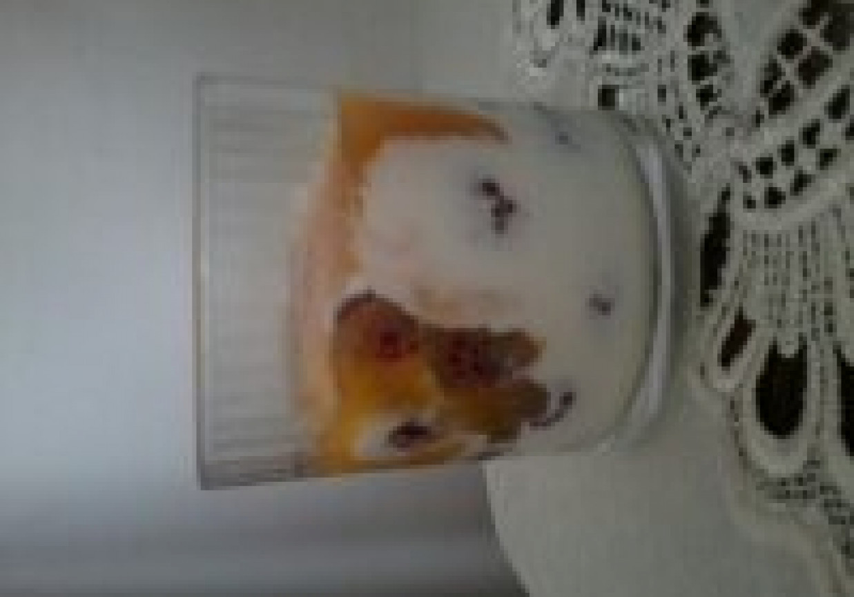 Lekkki deser jogurtowo malinowy foto