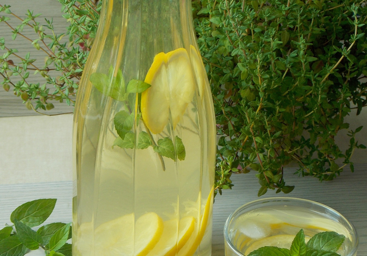 Lemoniada cytrynowo - miętowa foto