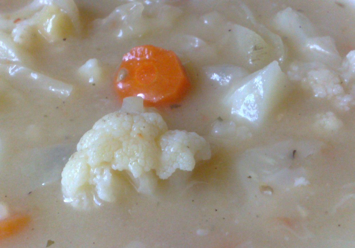 letnia zupa warzywna foto