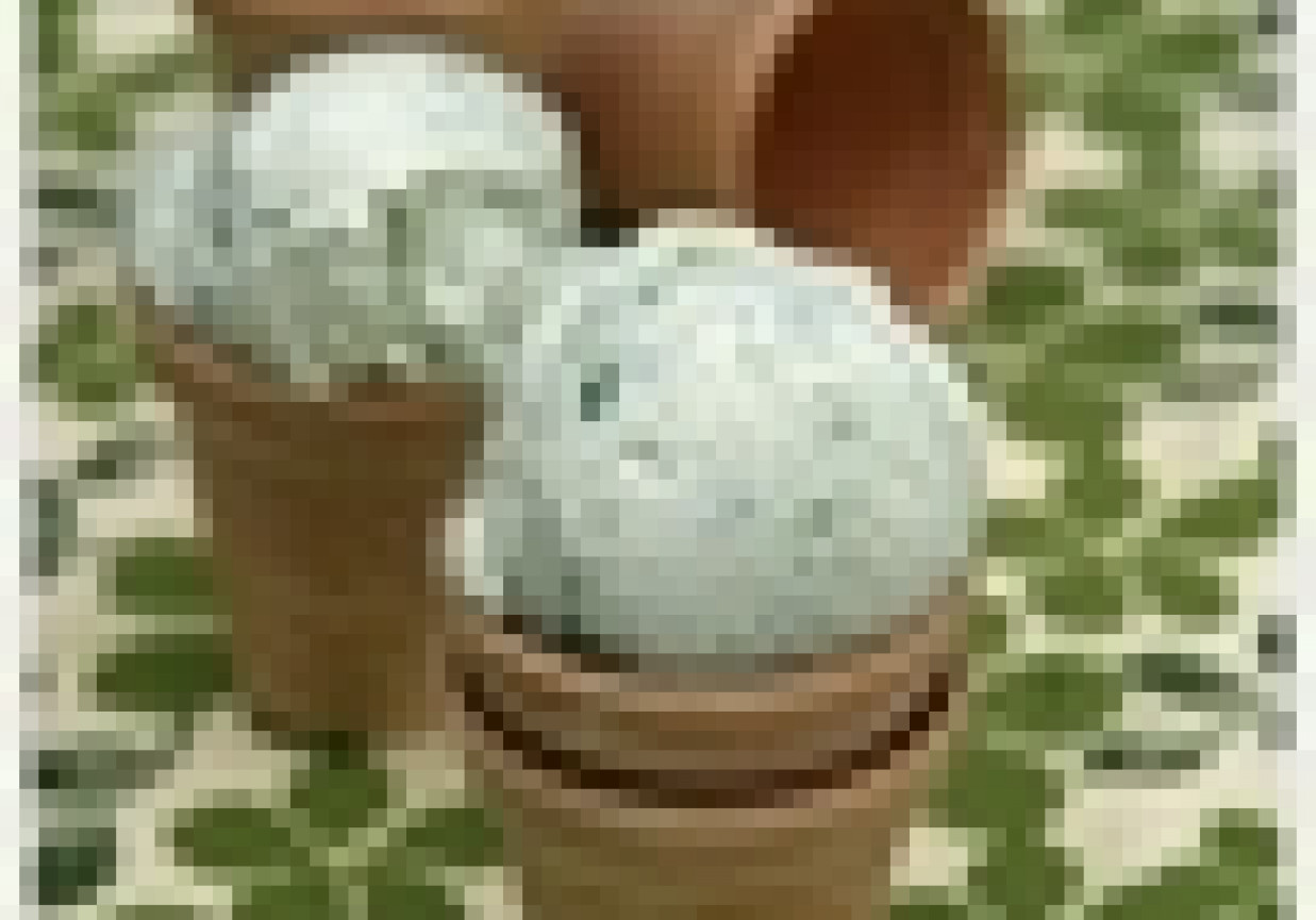 Lody cytrynowe z rukolą i likierem