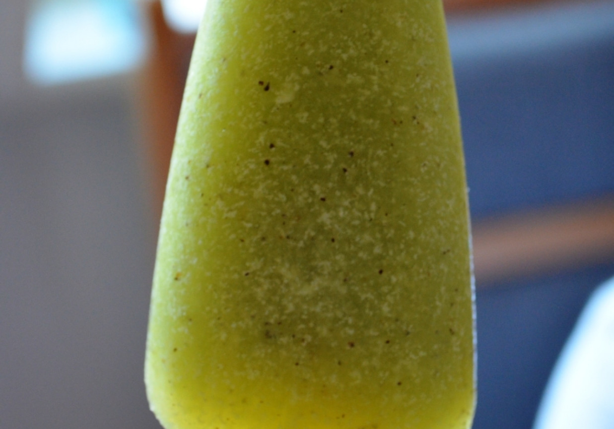 Lody melonowo - jogurtowe z kiwi foto