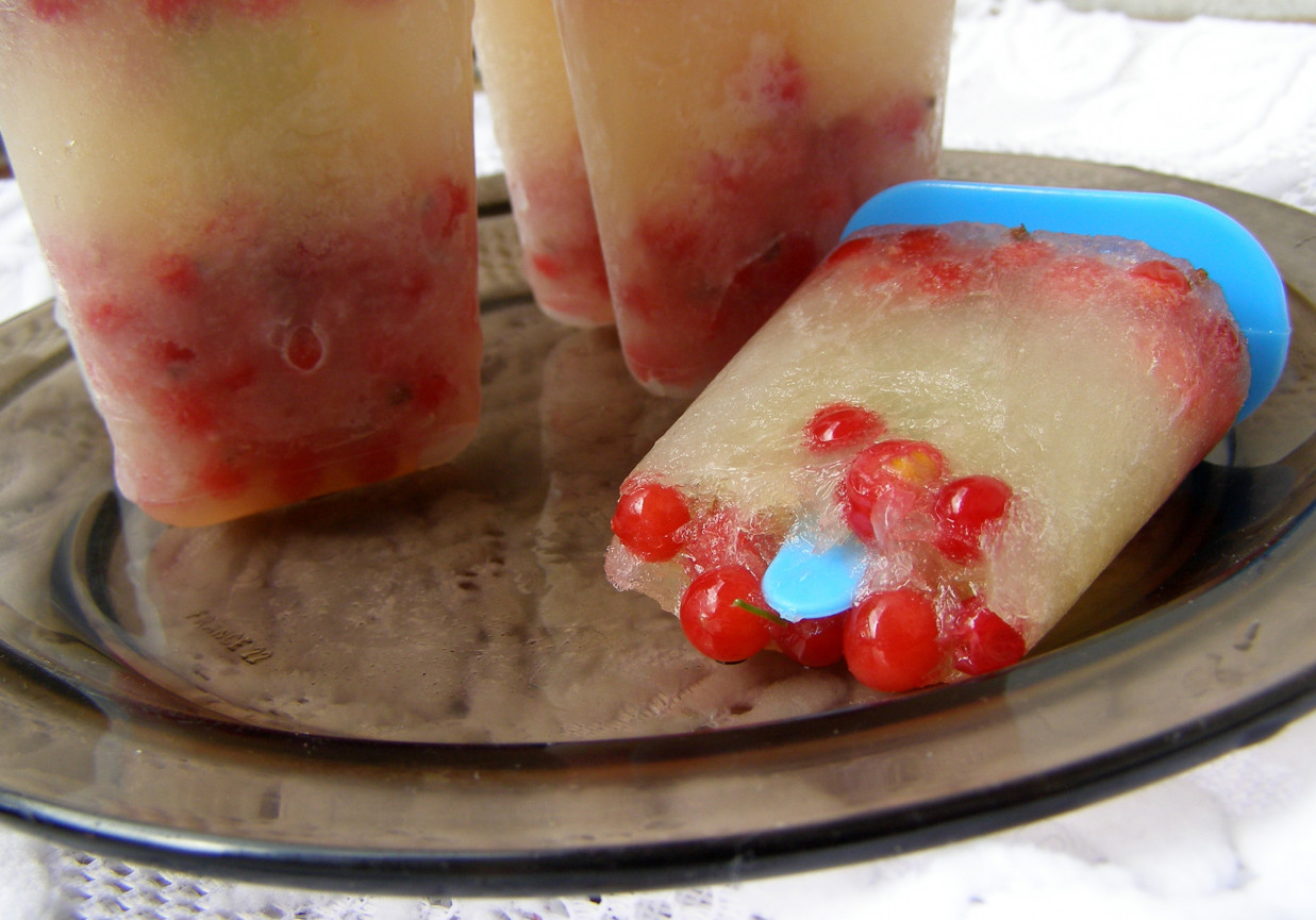 lody z porzeczką z soku jabłkowego, dyni i bazylią... foto