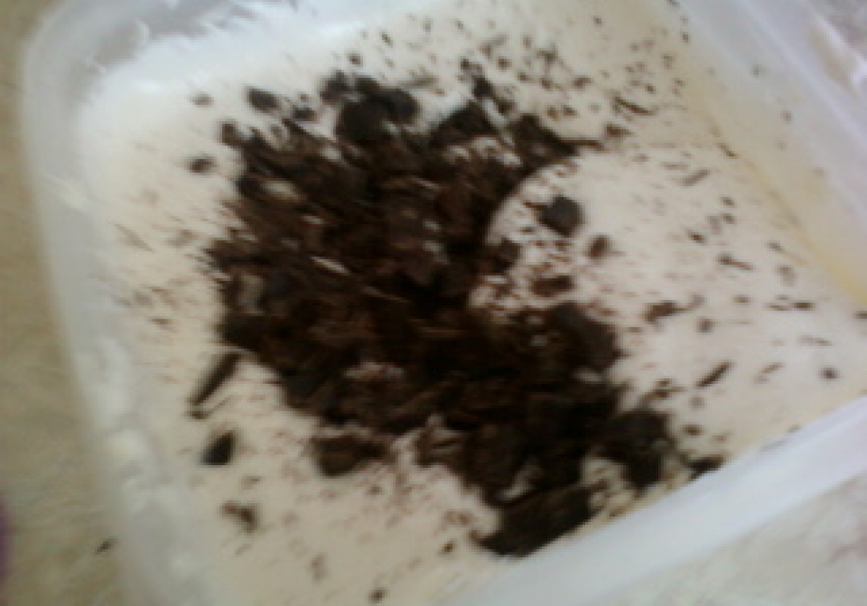 Lody z serkiem mascarpone foto