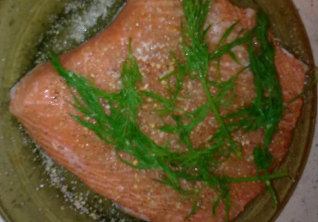 Łosoś gravlax foto