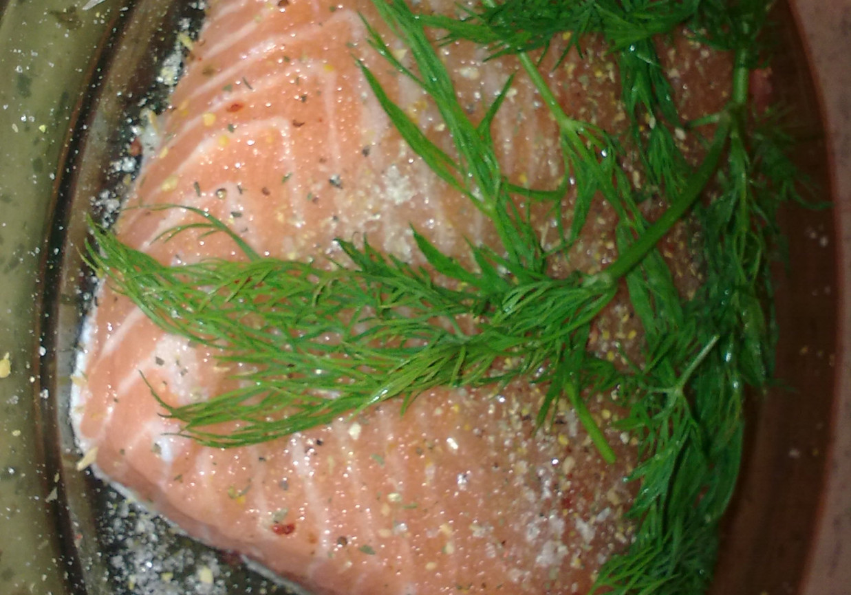 Łosoś gravlax foto
