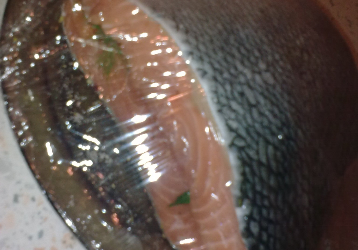 Łosoś gravlax foto