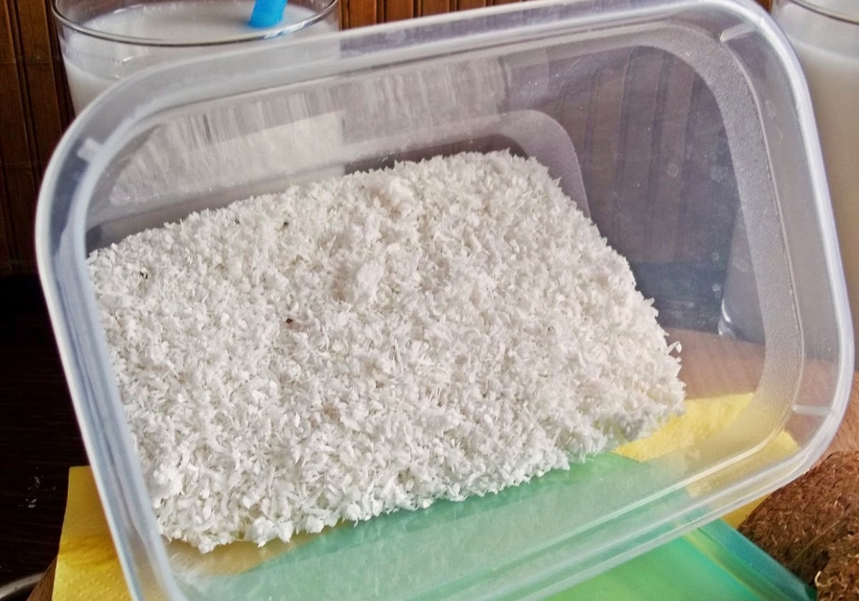 Mąka kokosowa (bezglutenowa)  foto