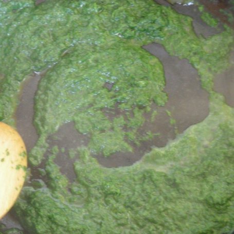 Krok 1 - makaron pełnoziarnisty z sosem szpinakowo-brokułowym foto