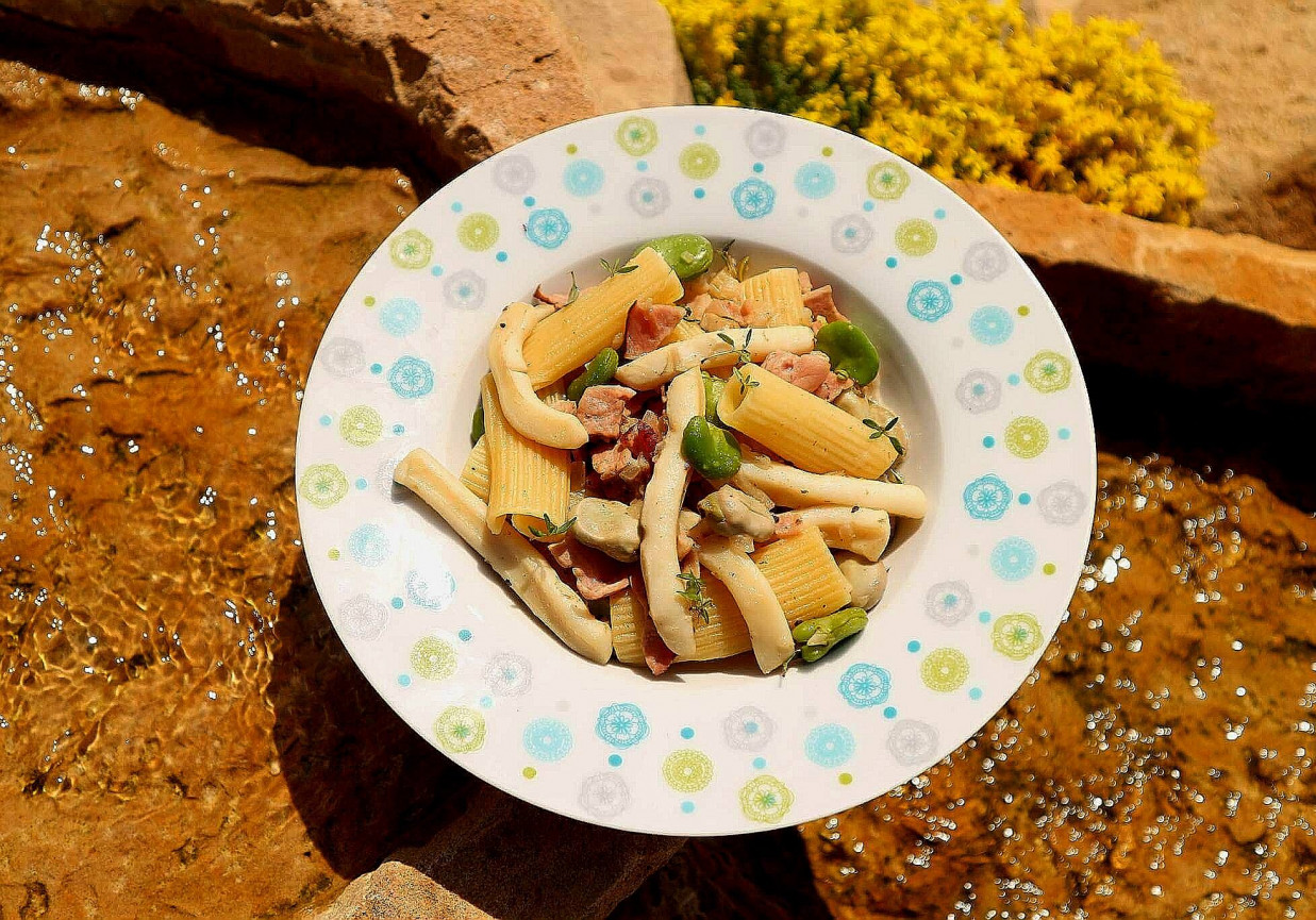 Makaron rigatoni z bobem i kalmarami DoradcaSmaku.pl