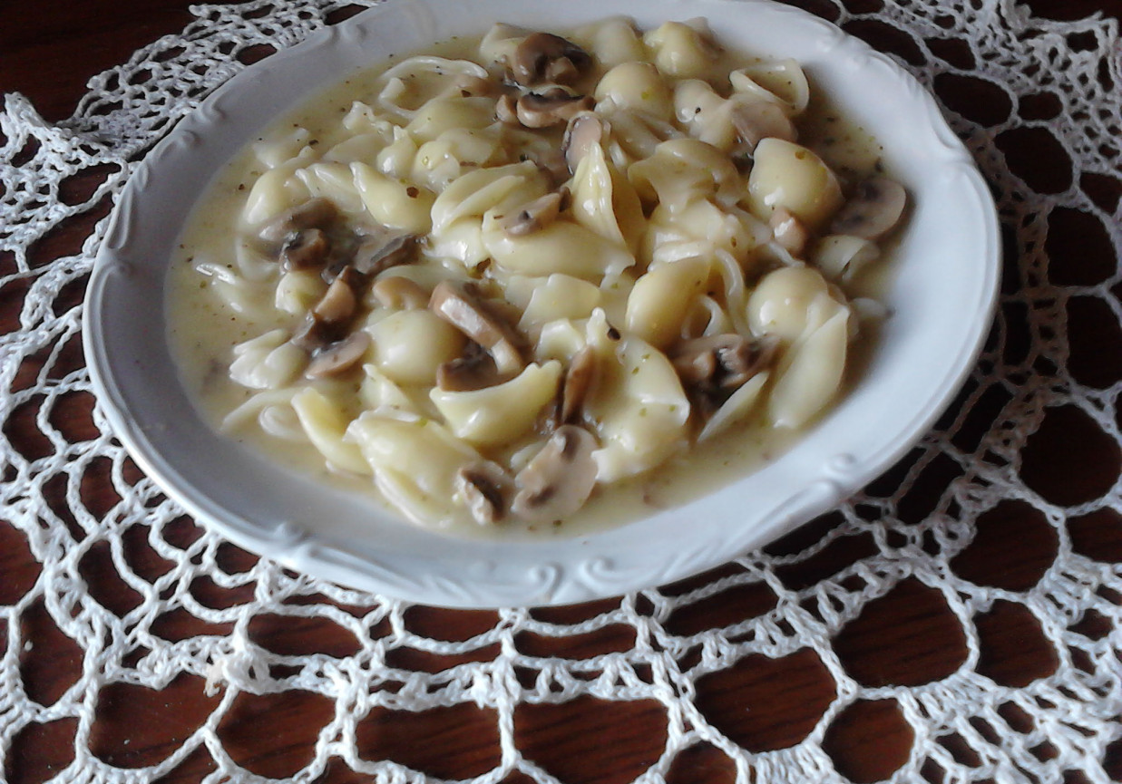 Makaron w sosie pieczarkowo-majerankowym foto