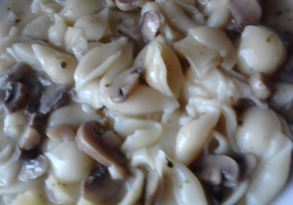 Makaron w sosie pieczarkowo-majerankowym foto