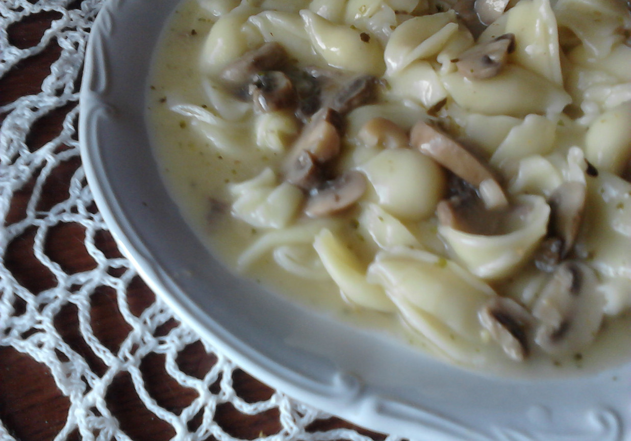 Makaron w sosie pieczarkowo-majerankowym foto