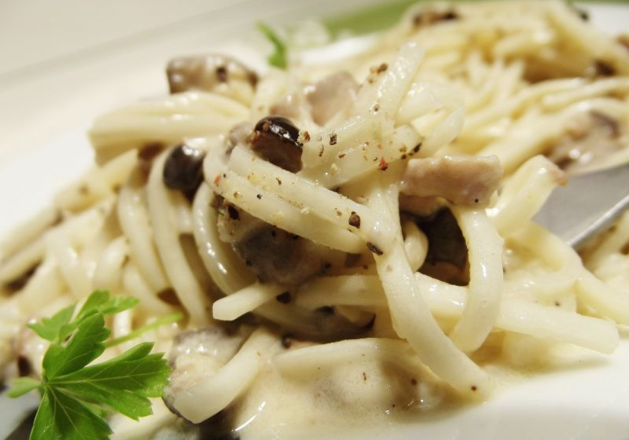 Makaron w sosie serowo grzybowym foto