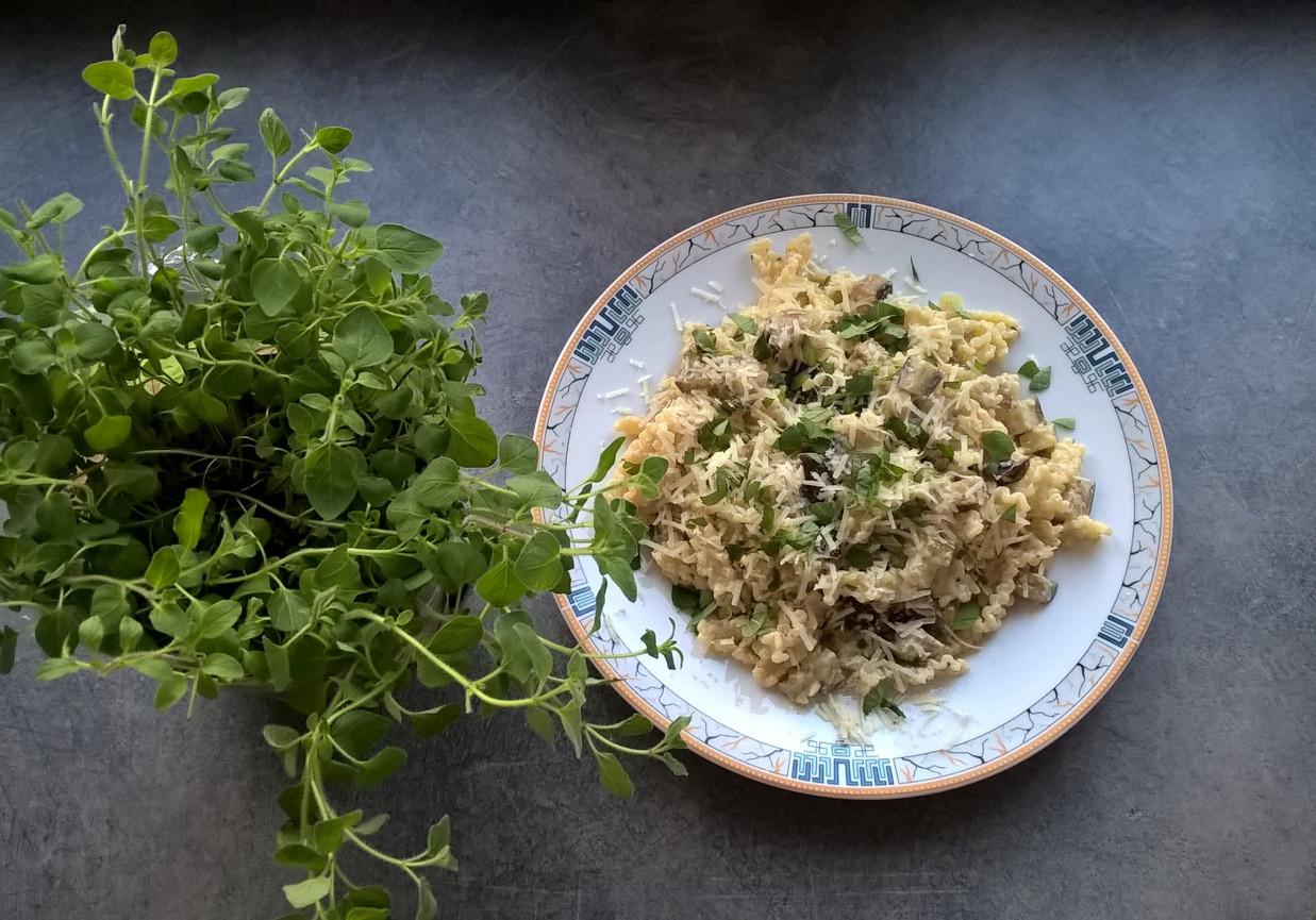 Makaron z bakłażanem, serkiem topionym i świeżym oregano foto