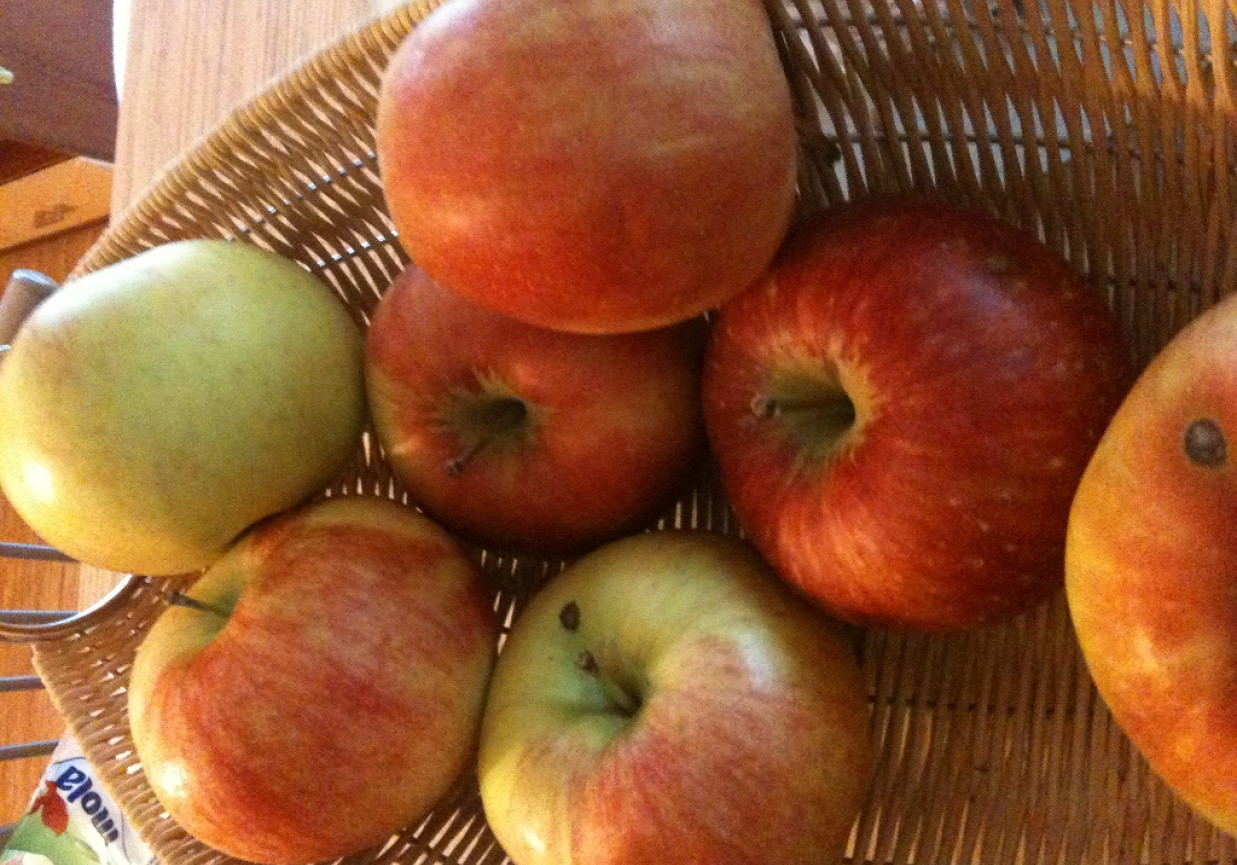makaron z jabłkami foto