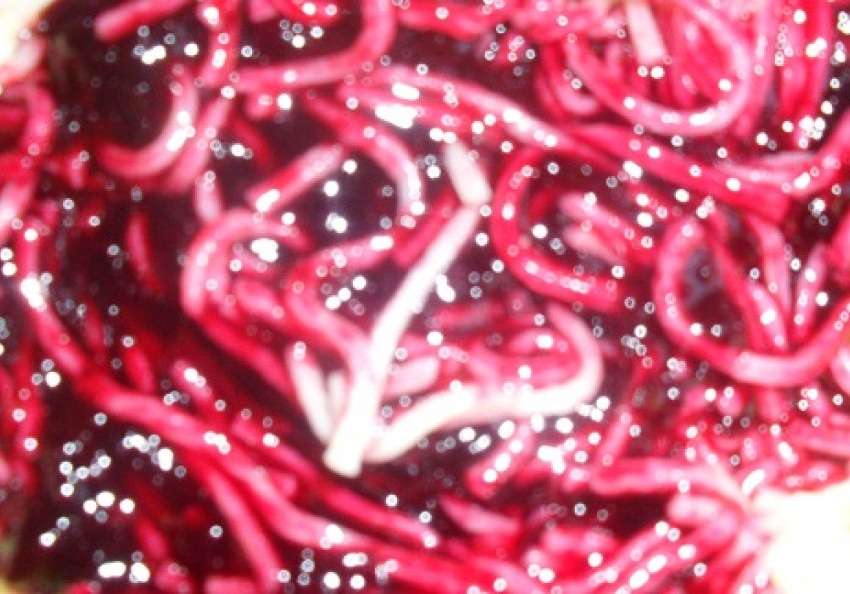 Makaron z jagodami foto