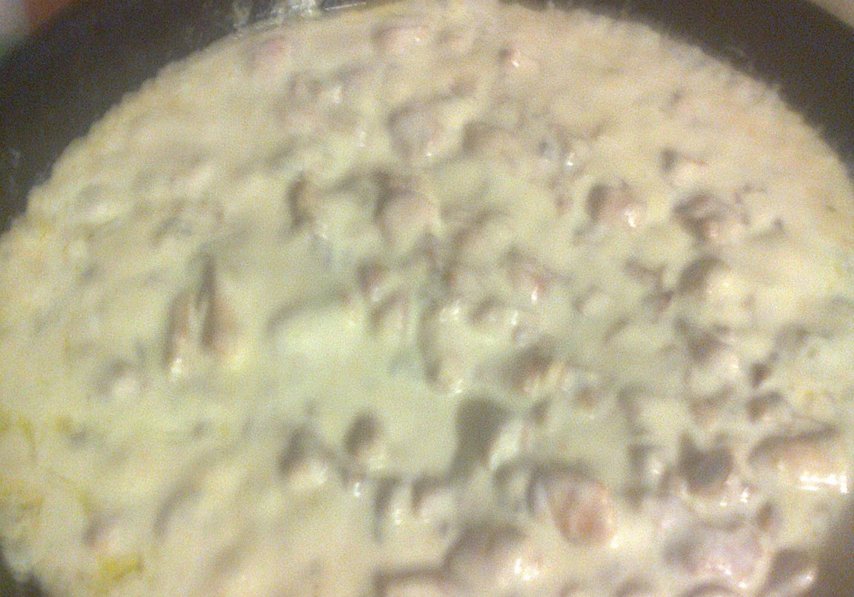 makaron z sosem z borowików foto