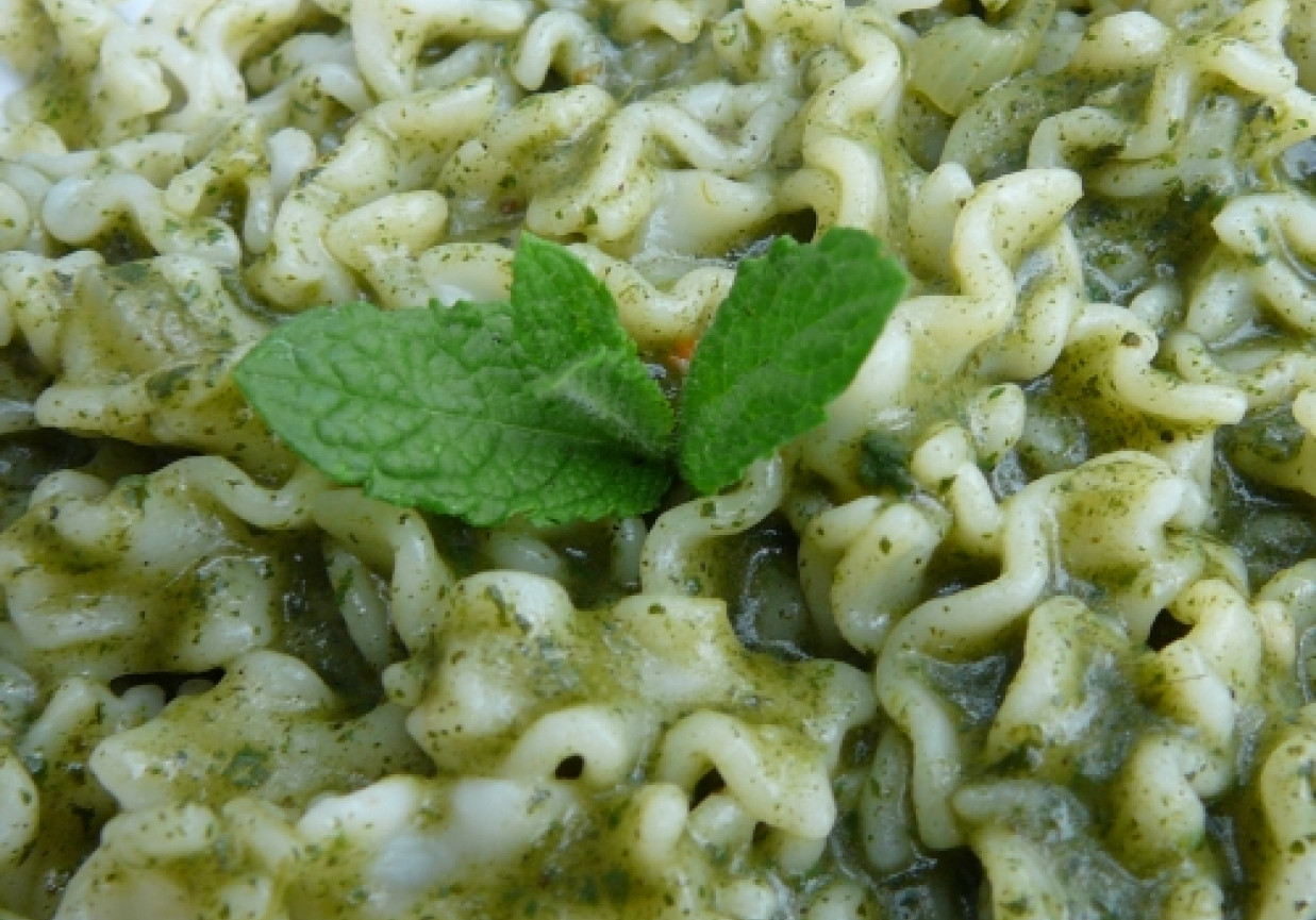 Makaron z zielonym ogrodowym sosem foto
