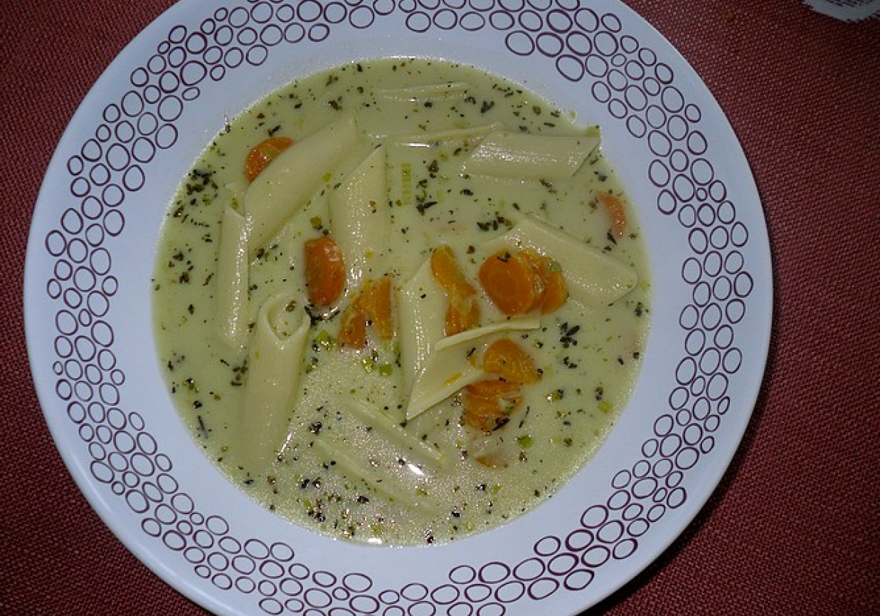 Makaronowa zupa z młodymi warzywami foto