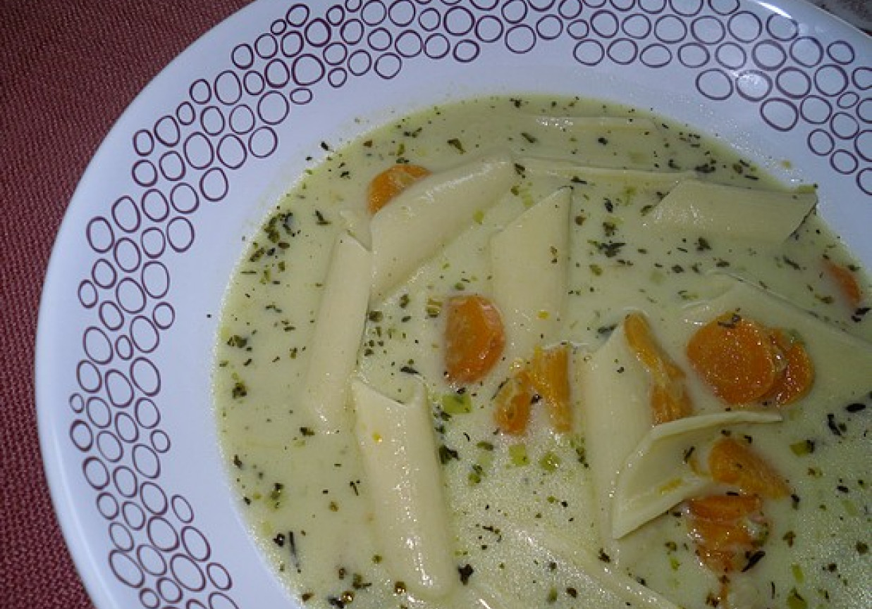 Makaronowa zupa z młodymi warzywami foto