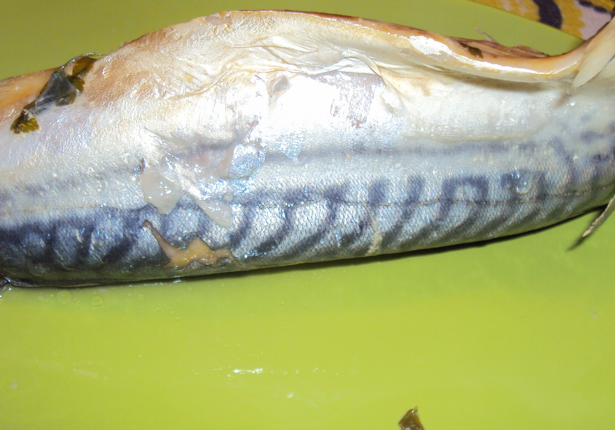 Makrela w bulionie warzywnym foto