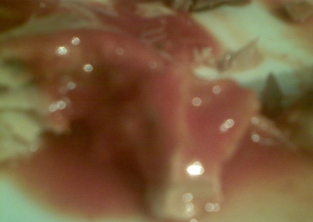 Fotografia przedstawiająca Makrela w sosie pomidorowym