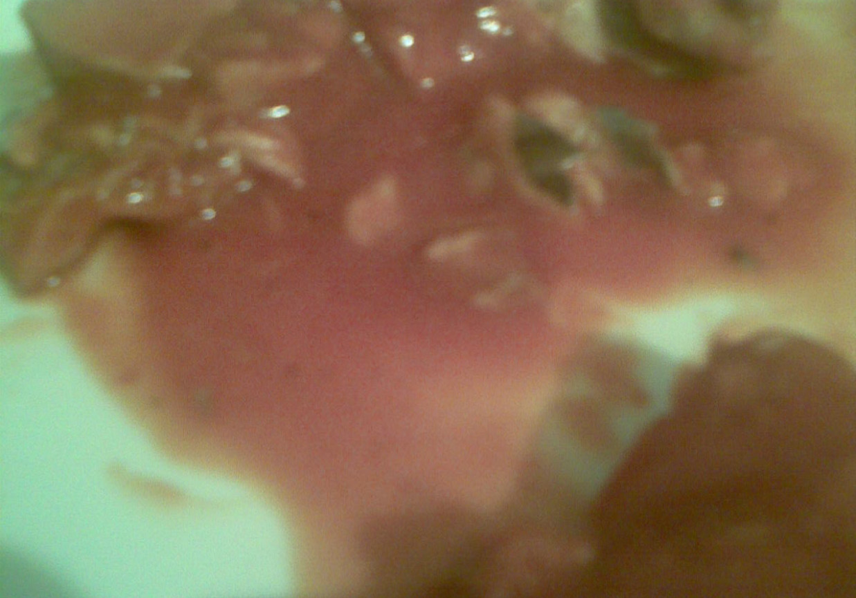 Makrela w sosie pomidorowym foto