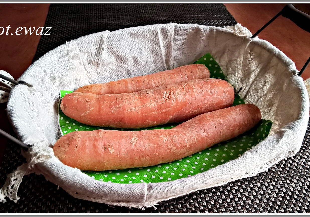 Marchewka i jej sekrety