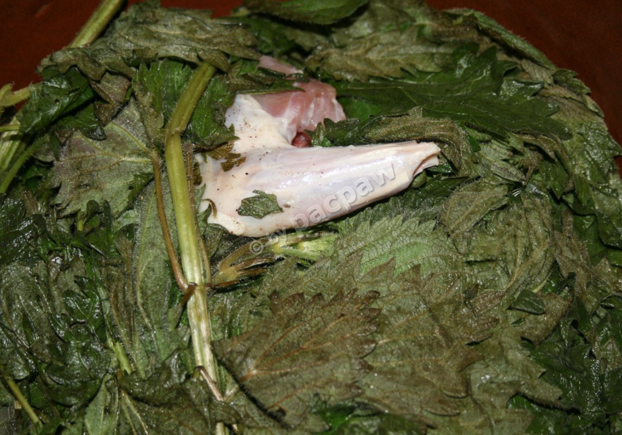 Marynata pokrzywowa do mięsa króliczego foto